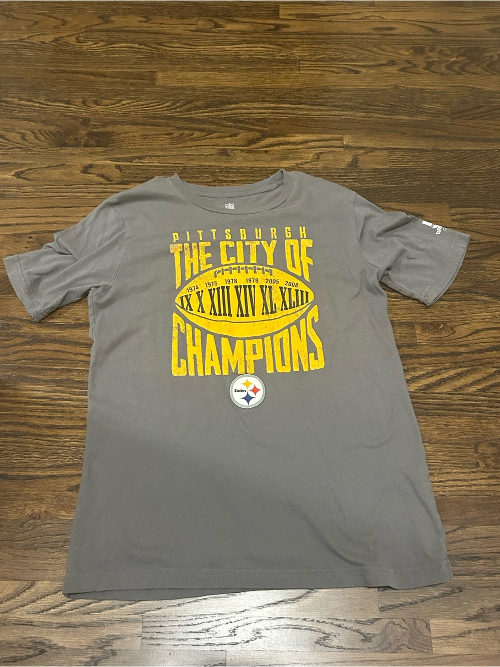 NFL Pittsburgh Champions Graphic Tee - Gray & Yellow